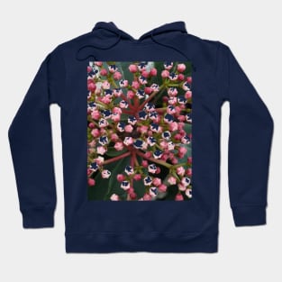 Tiny Flowers Photography My Hoodie